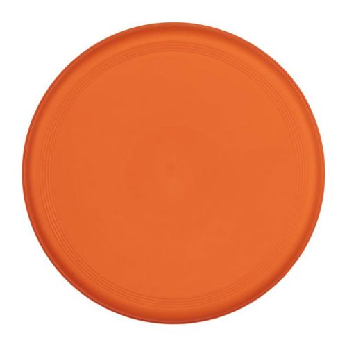 Gerecyclede frisbee - Afbeelding 4